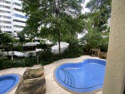 Mount Elizabeth Link (D9), Condominium #484100571